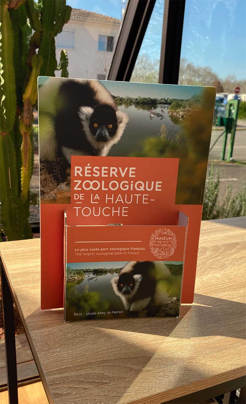 Exemple de présentoir pour comptoir
